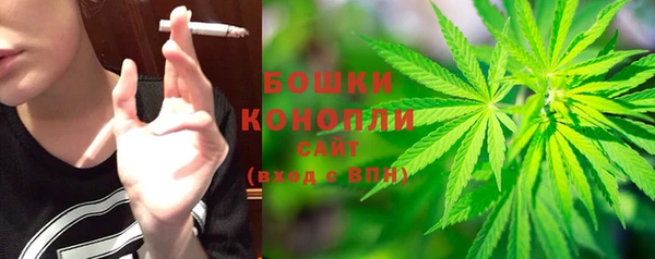 Альфа ПВП Горно-Алтайск