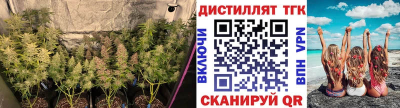 ТГК гашишное масло продажа наркотиков Ковров