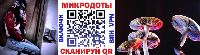 kraken маркетплейс  Ковров  площадка наркотические препараты  Псилоцибиновые грибы мухоморы 